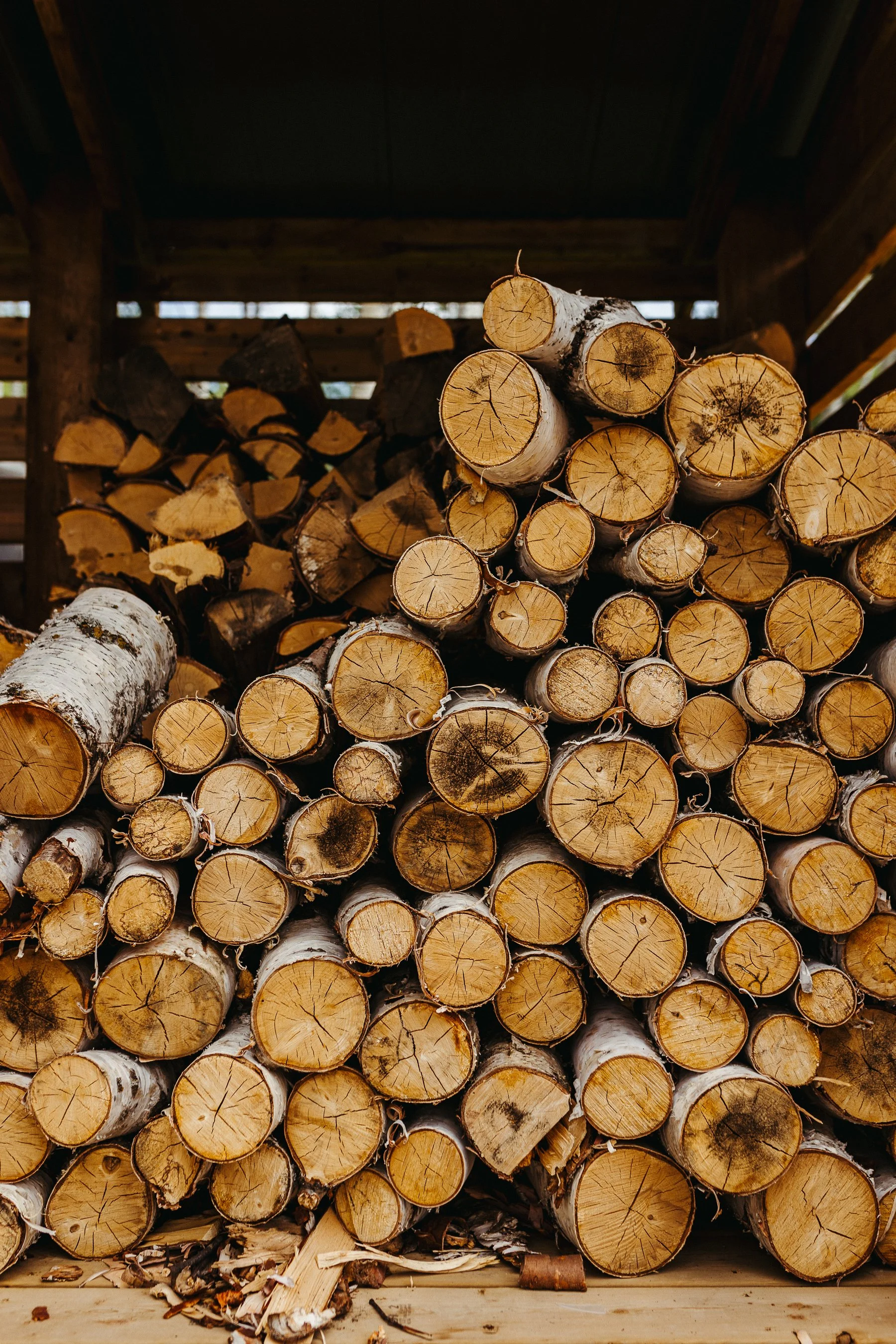wood.jpg