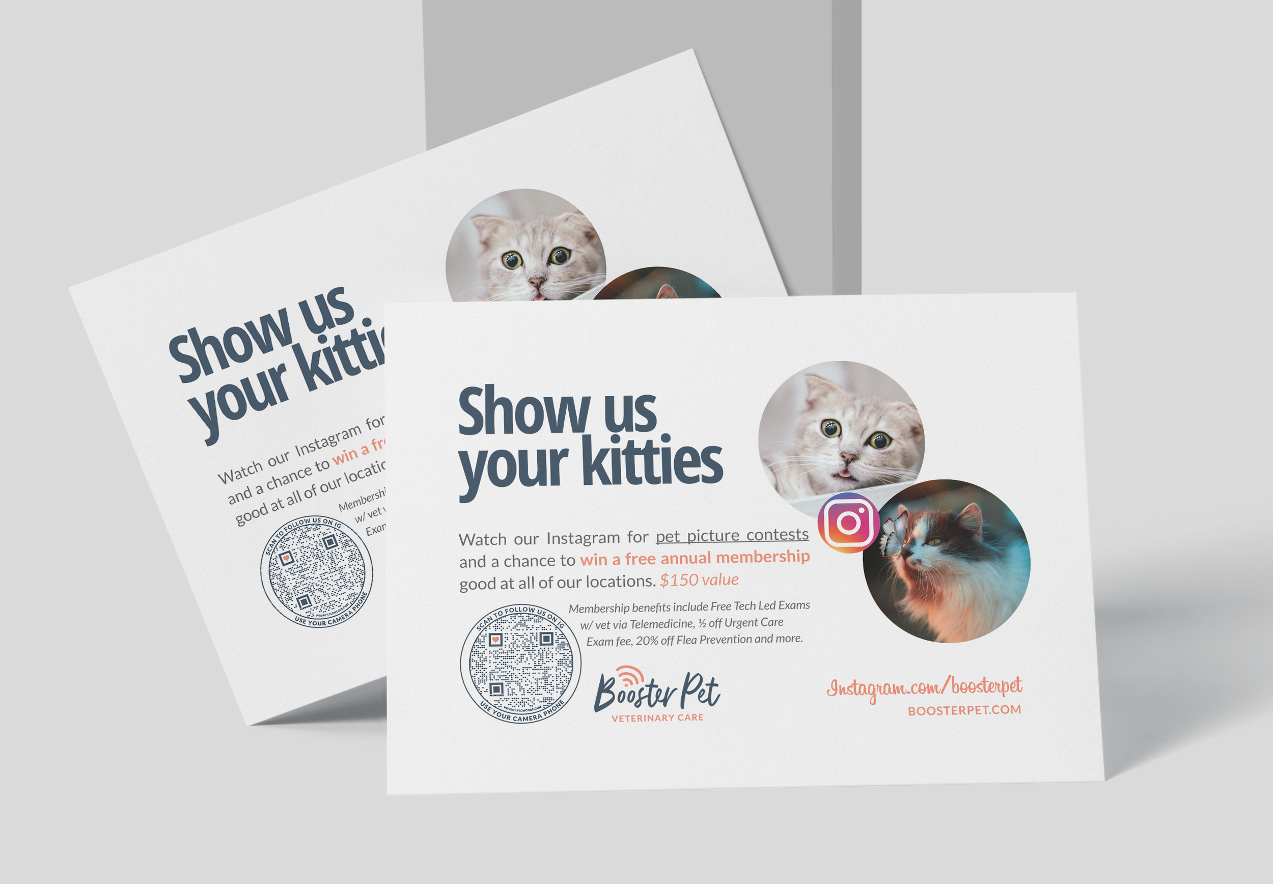 BoosterPet_Kitties.png