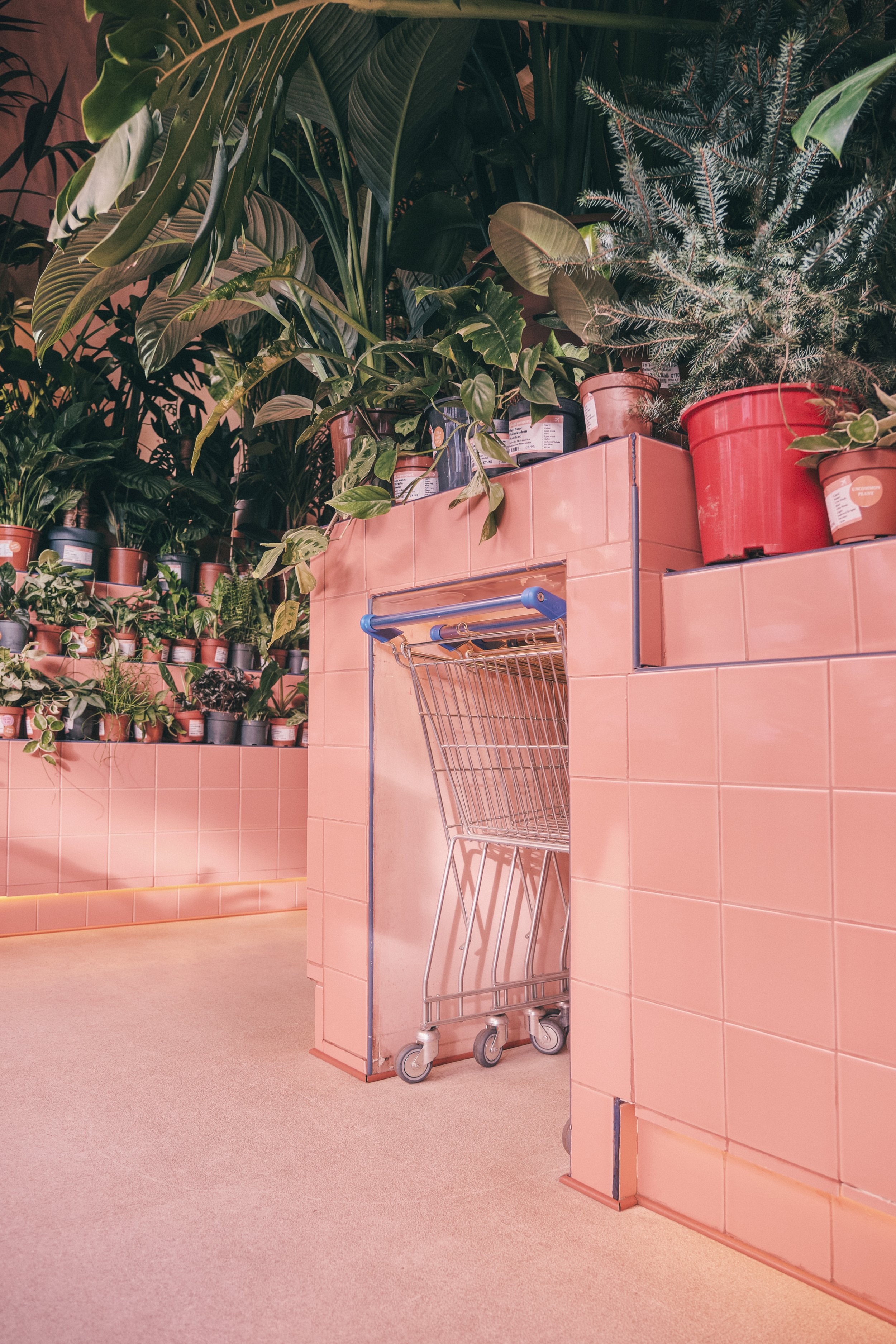 Nice Things_03.jpg