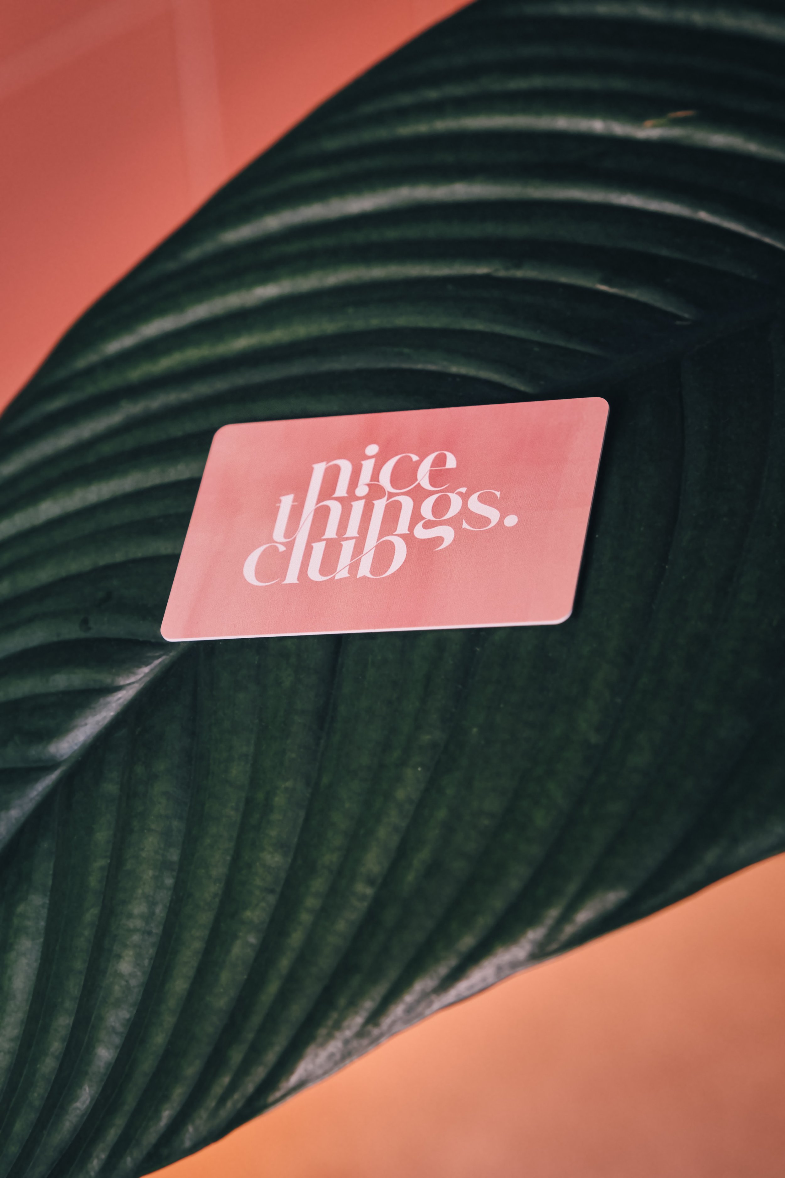 Nice Things_013.jpg