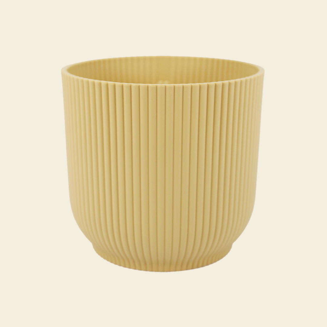 yellow vibes main.png