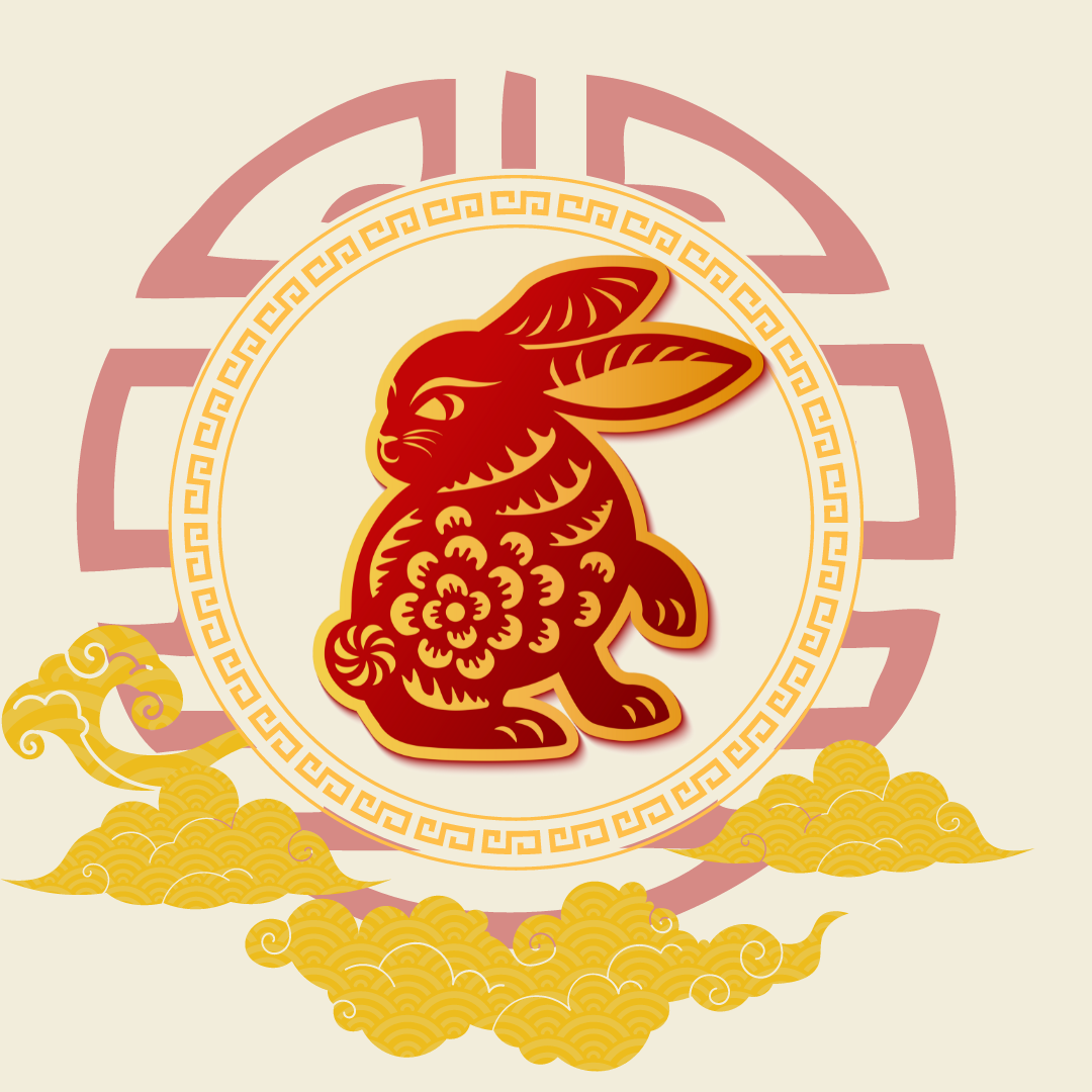 What does Yin Water Rabbit bring us in 2023? — Bing's Natural Health