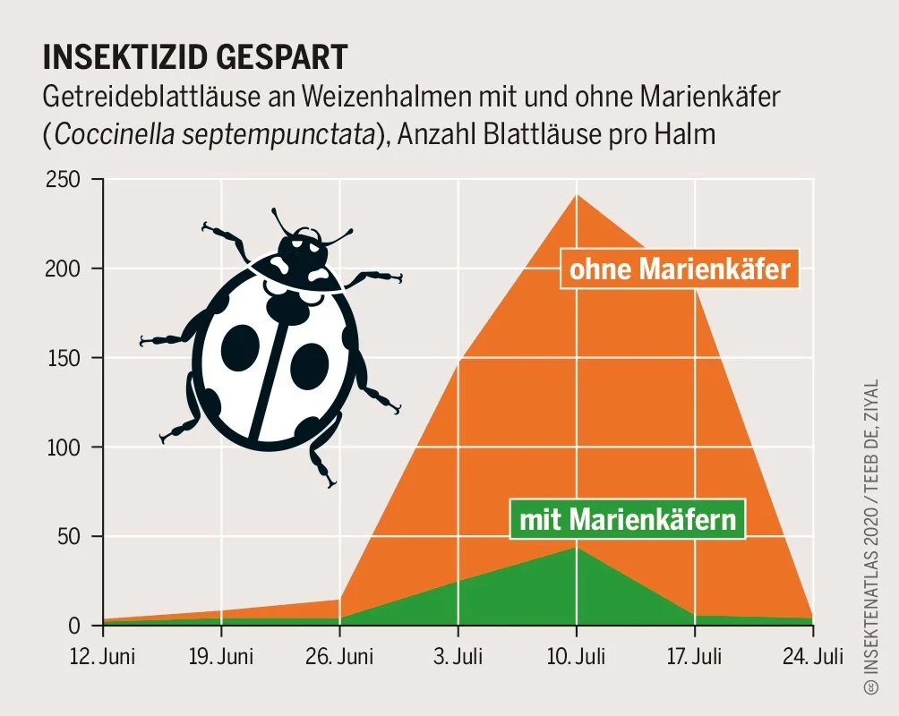 Grafik: Bartz/Stockmar, CC BY 4.0