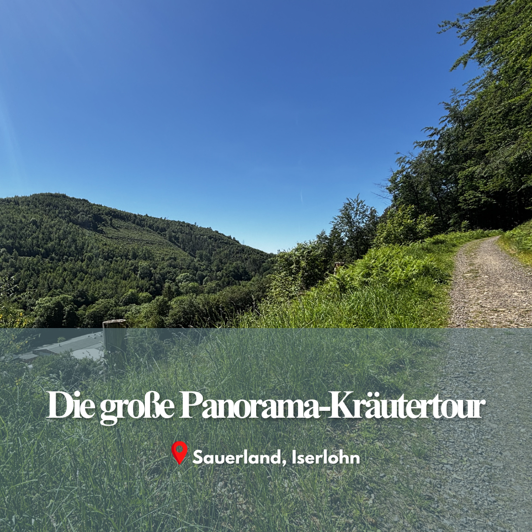 Die große Panorama-Kräutertour