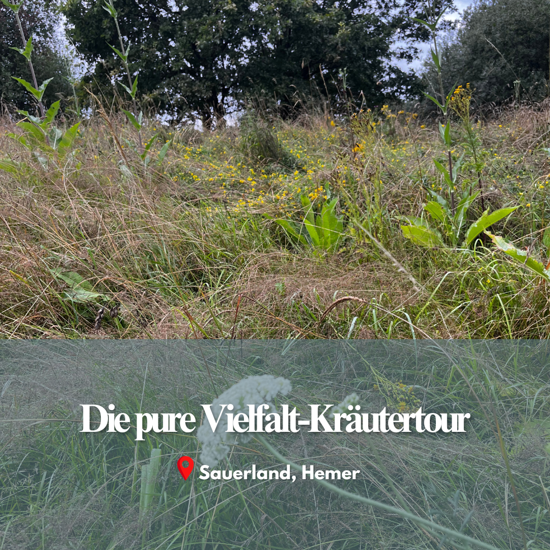 Die pure Vielfalt-Kräutertour