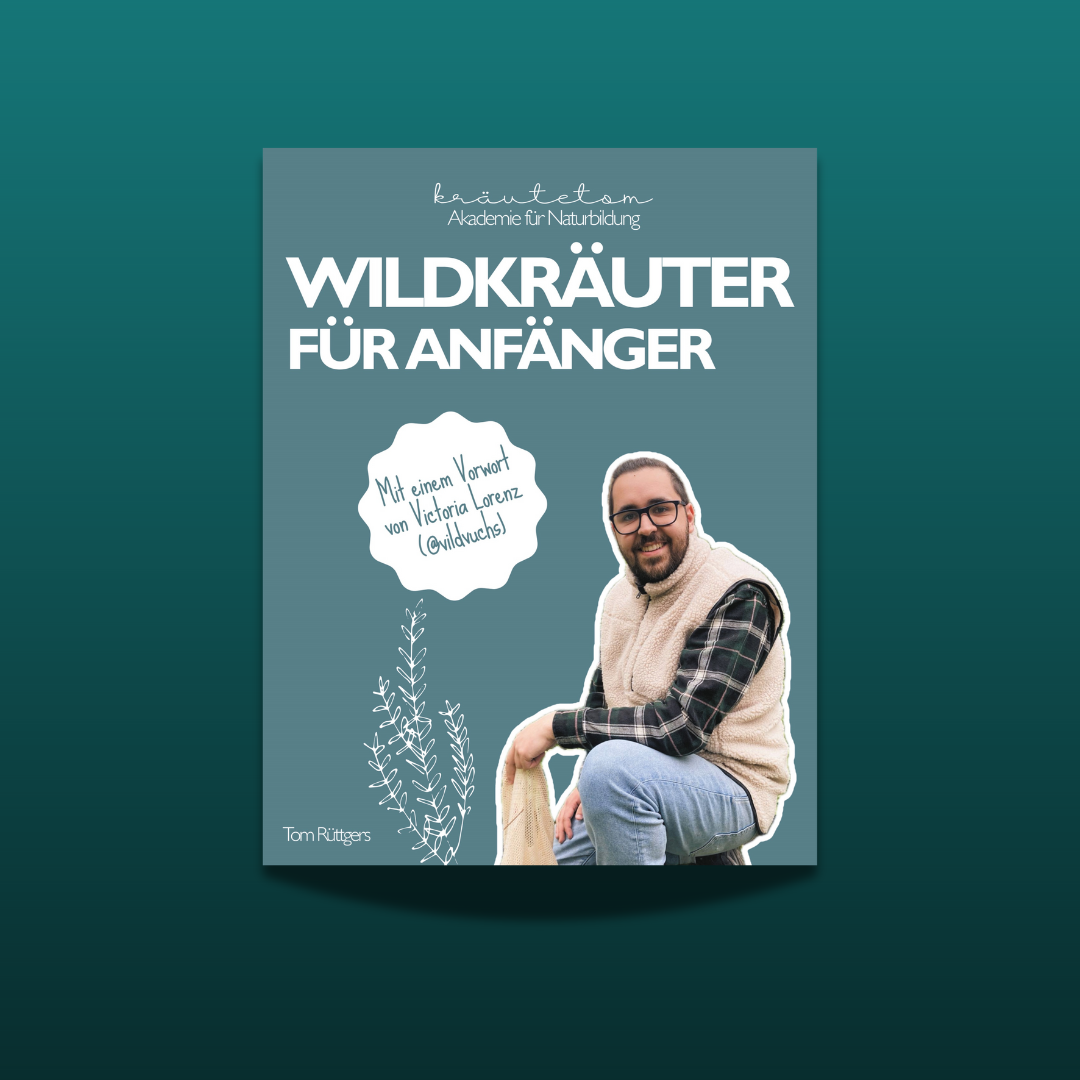 Wildkräuter für Anfänger
