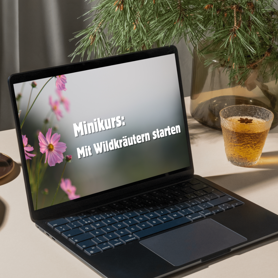 Minikurs: Mit Wildkräutern starten