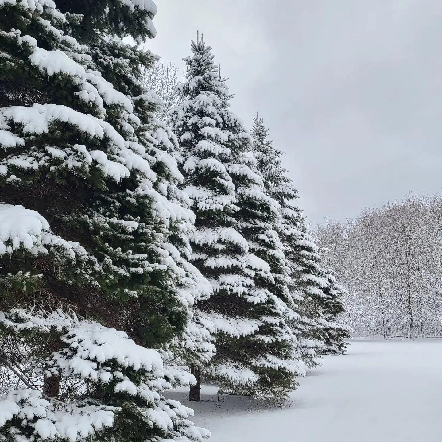 Mini snow storm up here, power went out so the printers were shut down for awhile. No worries though, orders will be shipping on time. If you ask me though, I like it. Good excuse to read 📚 😆