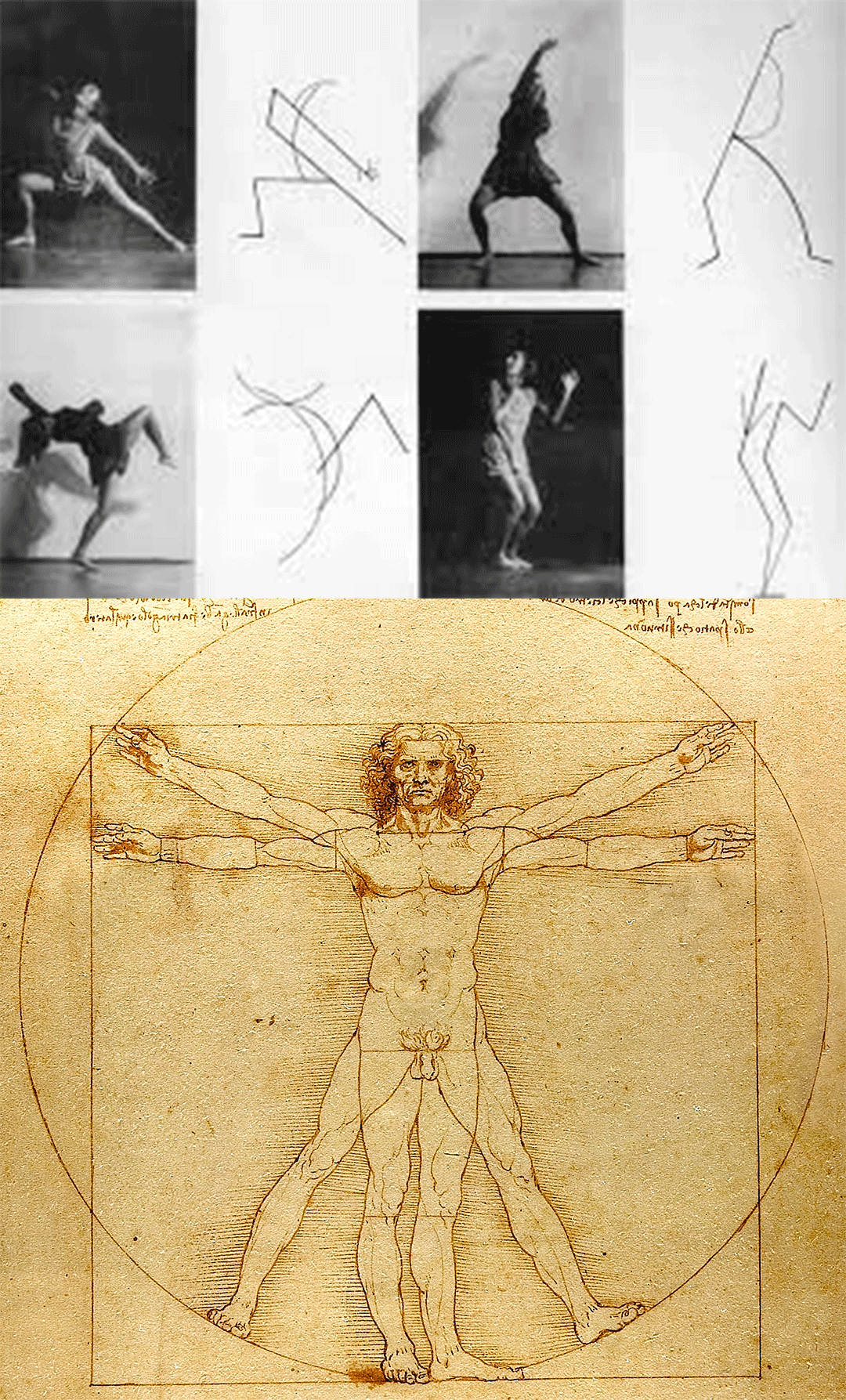 A Study in movement by Wassily Kandisky and the Vitruvian Man by Da Vinci