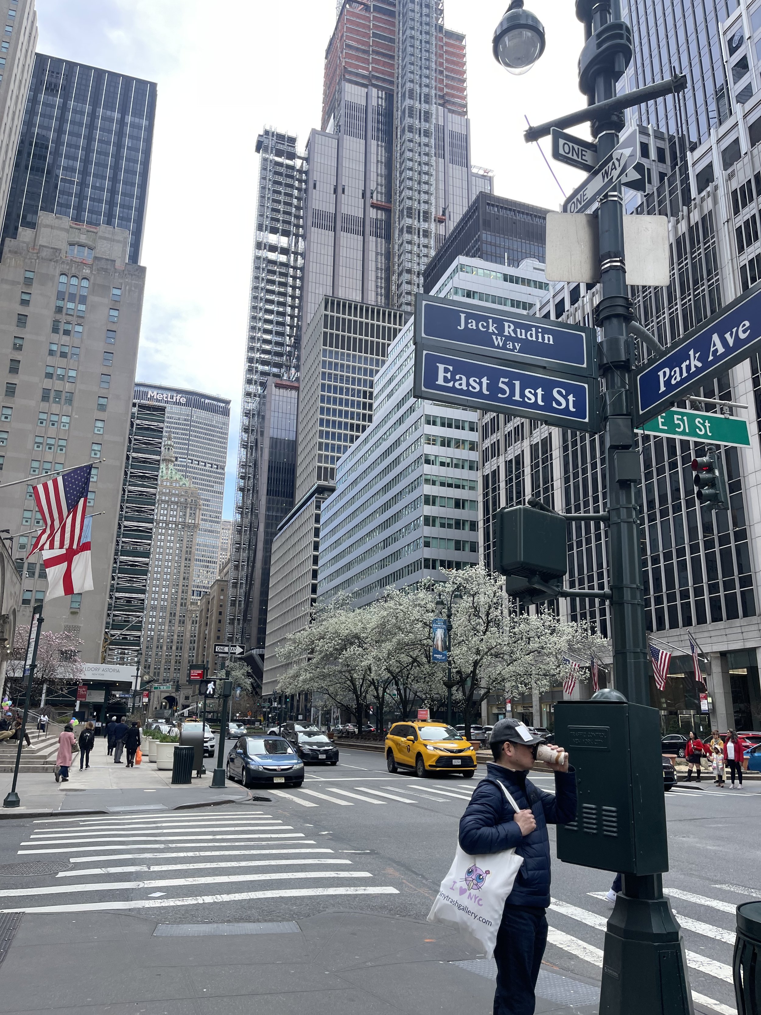 romance in park avenue