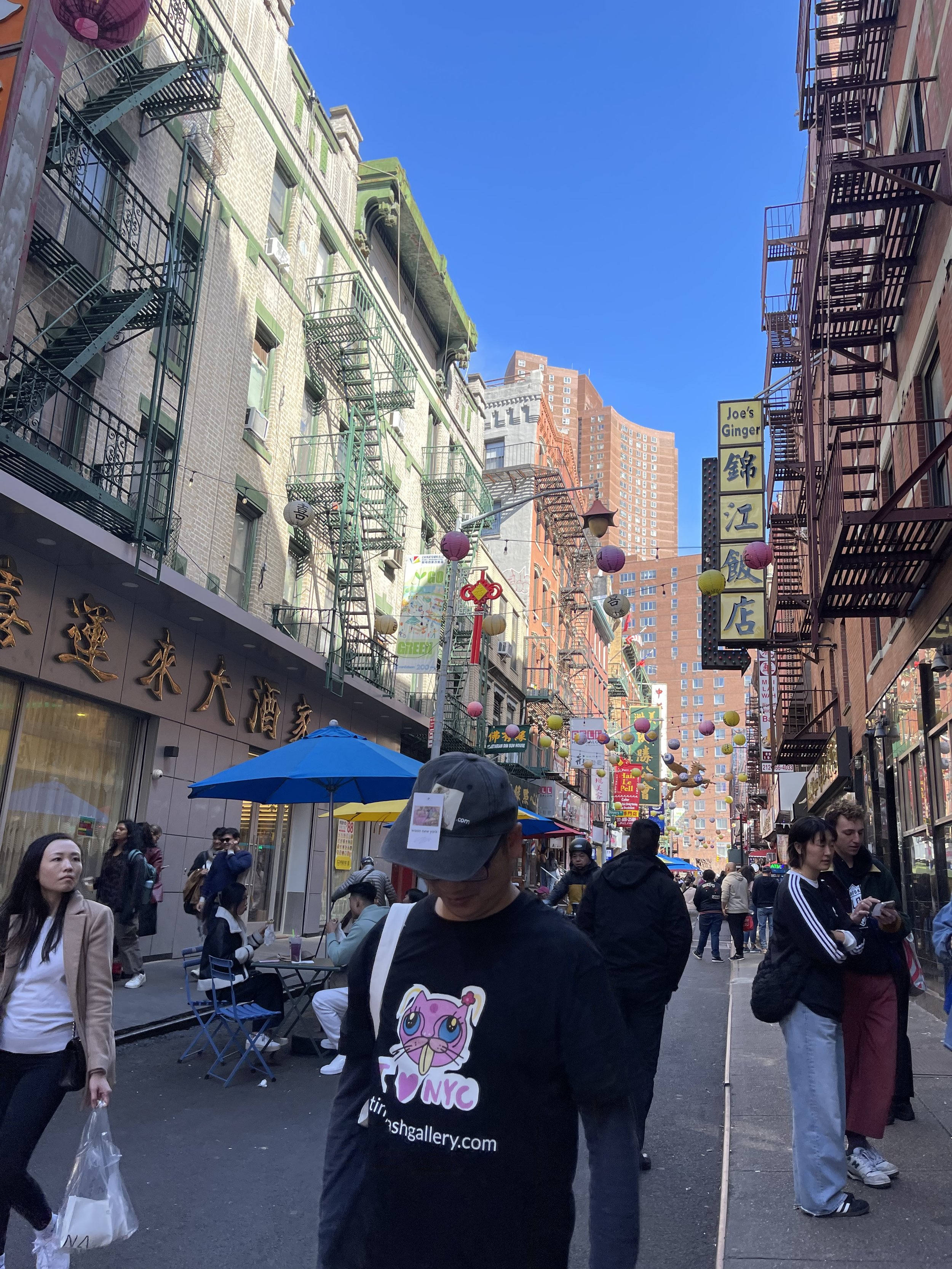 IMG_1931.jpeg