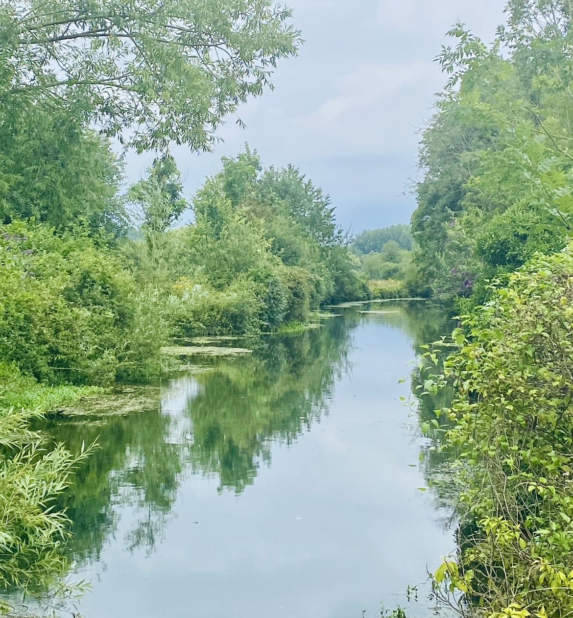 Water Meadows