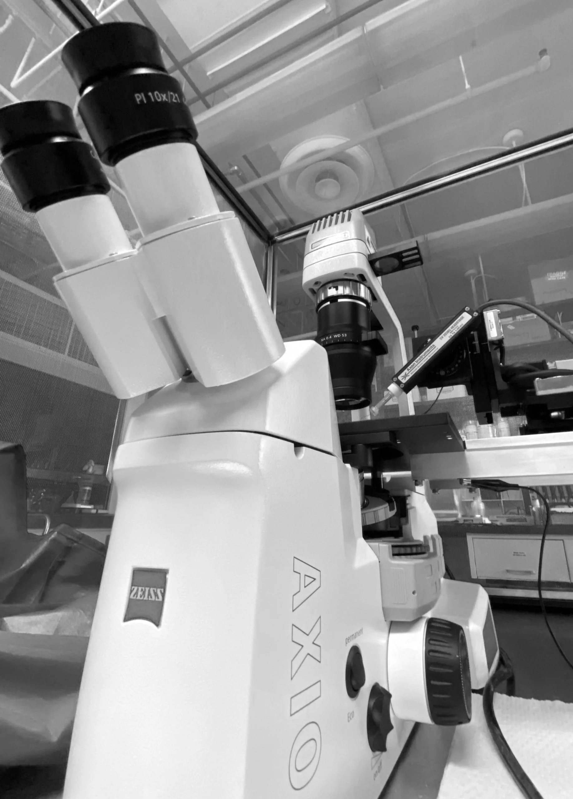 Research — The Harraz Lab