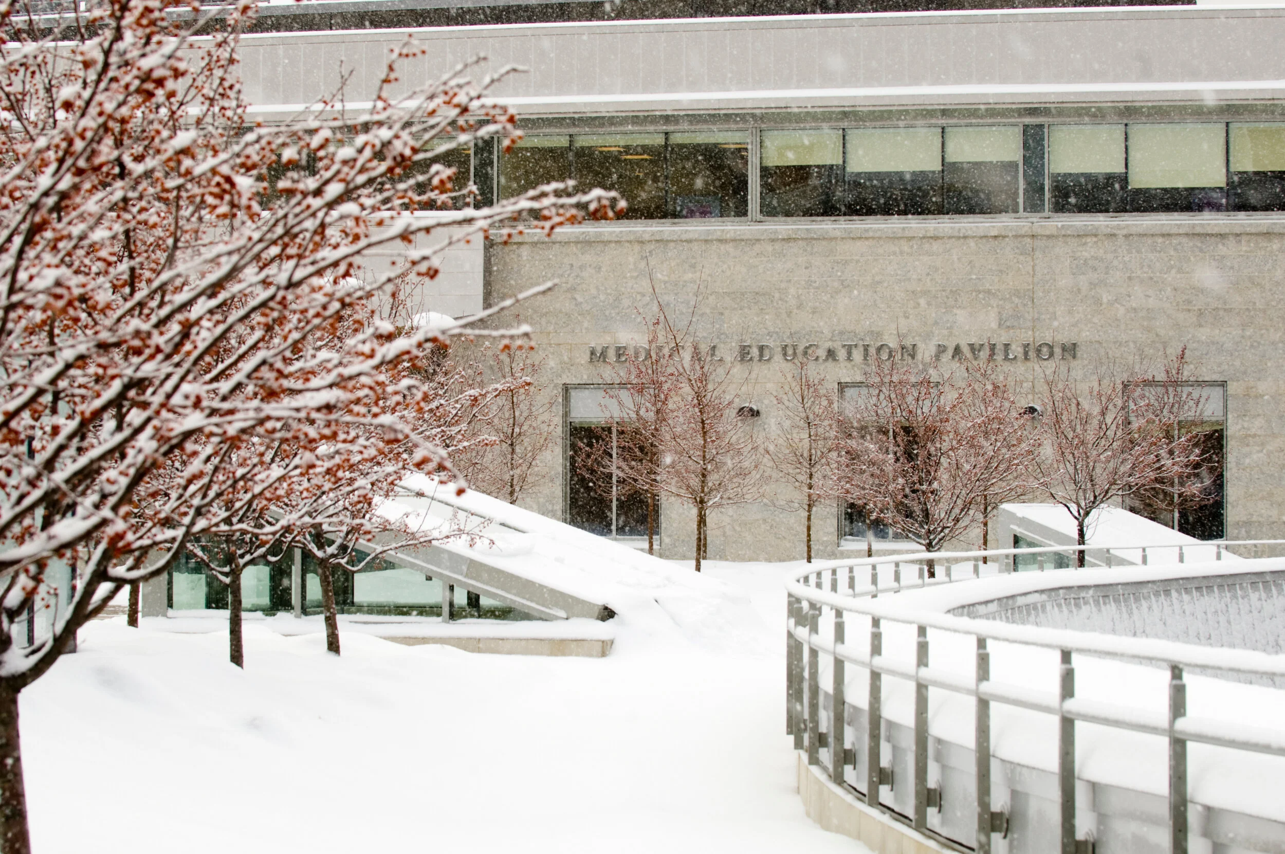 College of Medicine (1).jpg