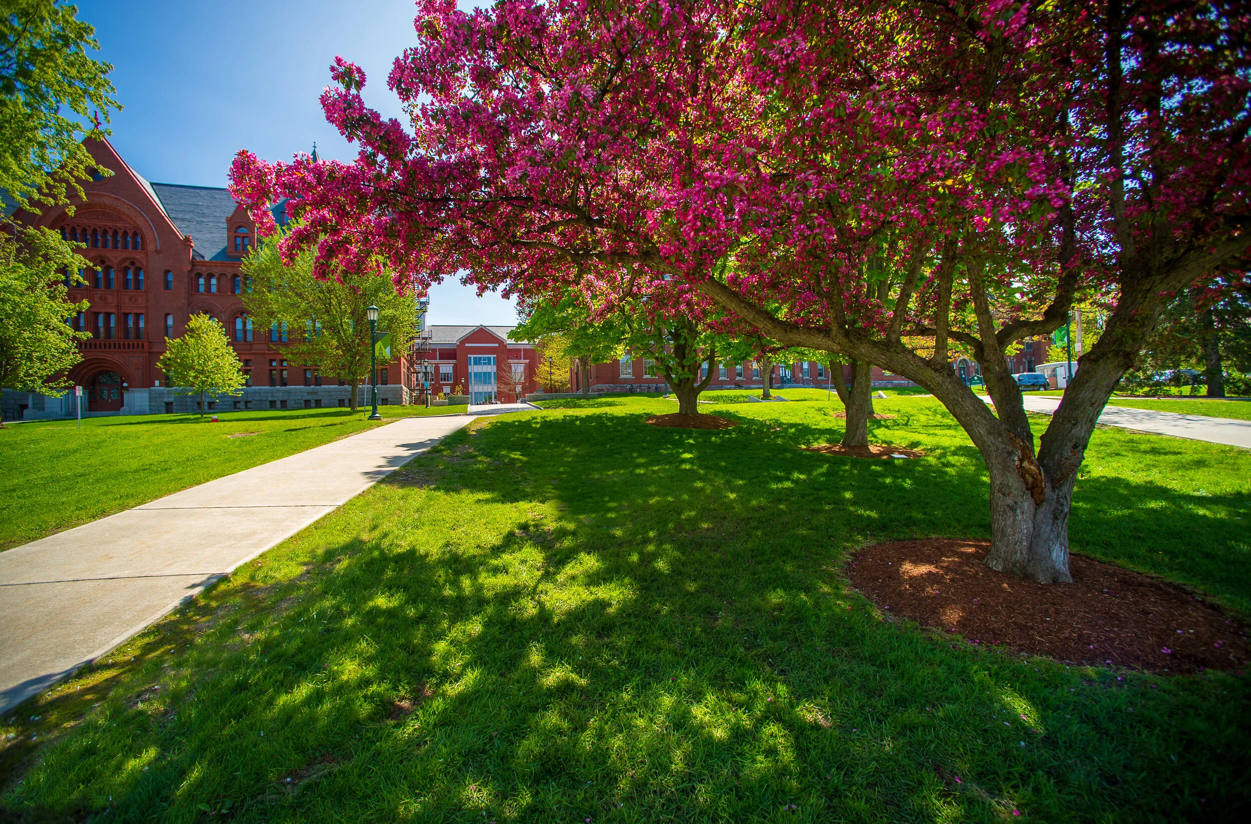 20190524_New_Campus-9.jpg