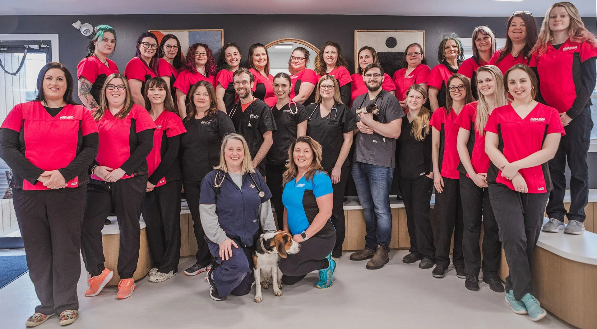 Avalon Animal Hospital St. John's Veterinary Clinic