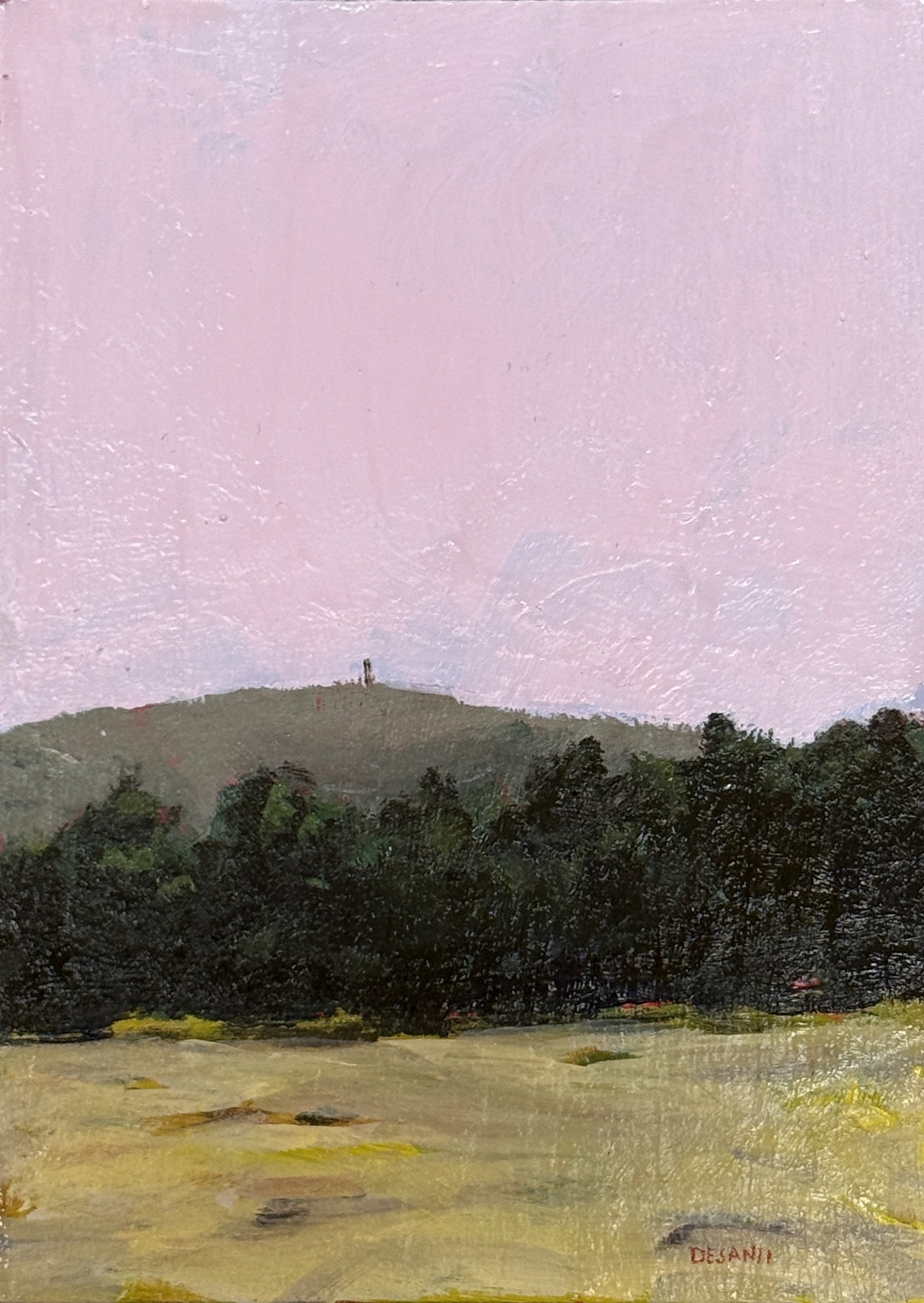 Hublein Tower View From Nod Road