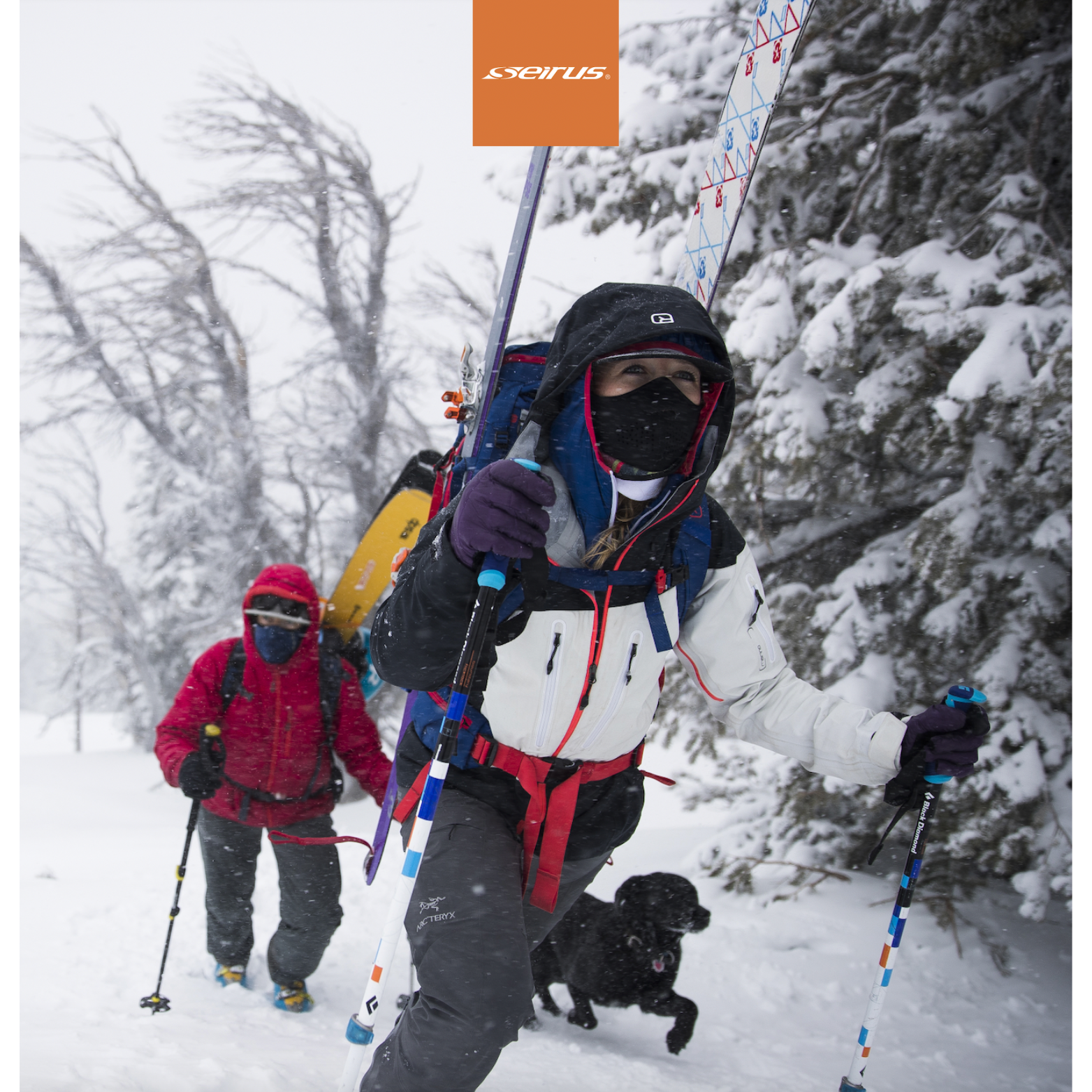 Skiers and dog ascending a snowy slope wearing Serius outwear, representing our client partners and the innovation needed for outdoor exploration.