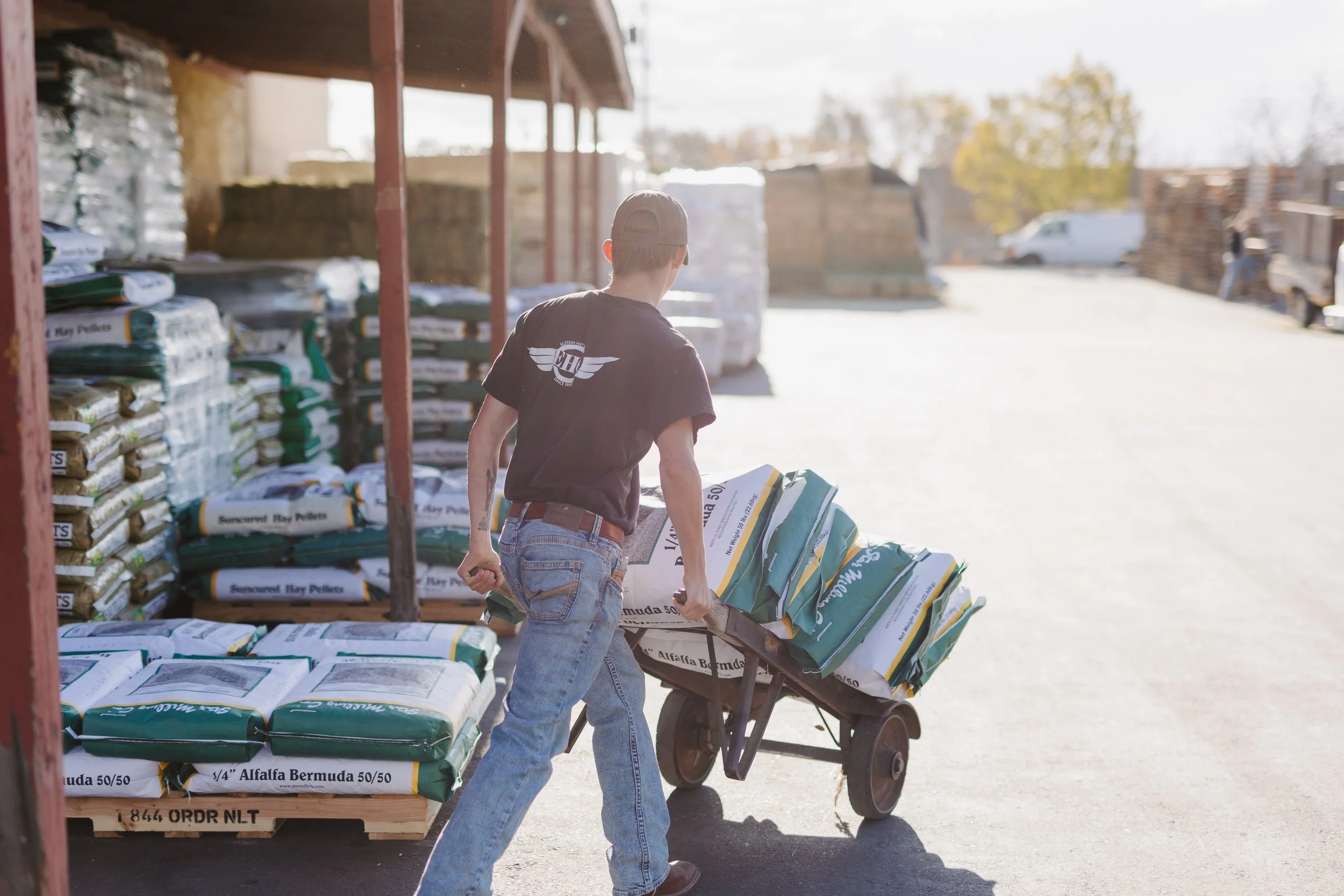 An Elston Hay & Grain crew member pushing a wheelbarrow stacked with 50-pound bags of Alfalfa Bermuda feed at a sunny warehouse.