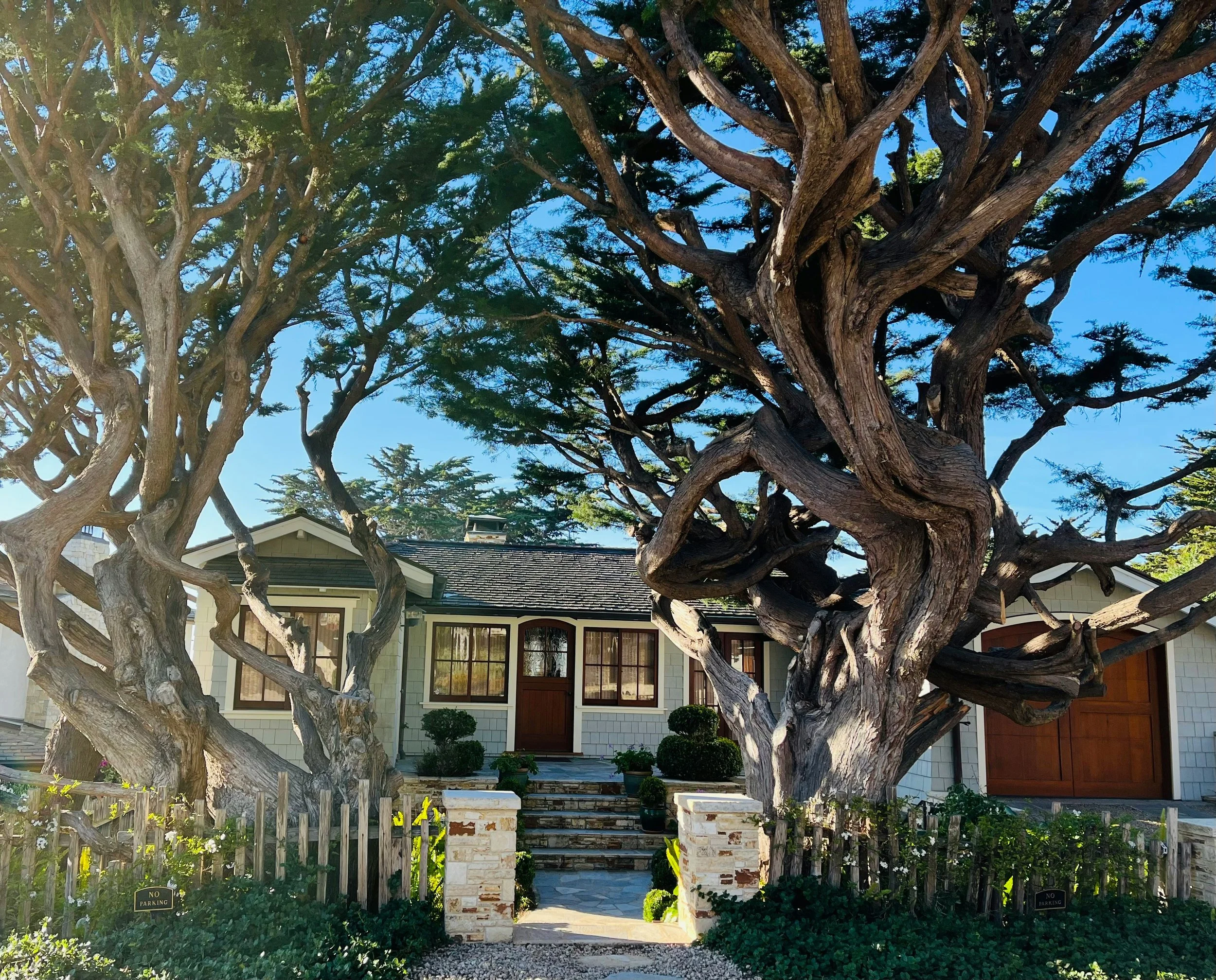 Mature tree canopy over a California home, illustrating a house passed through a living trust or transfer-on-death deed