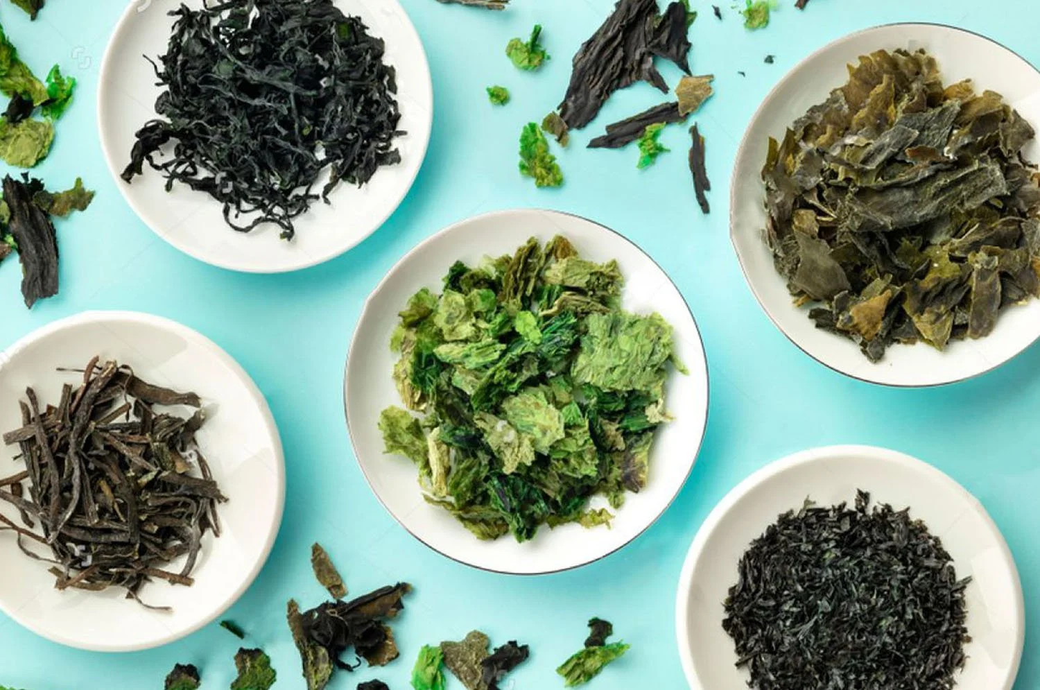 Sea Vegetables – A Major “Superfood”