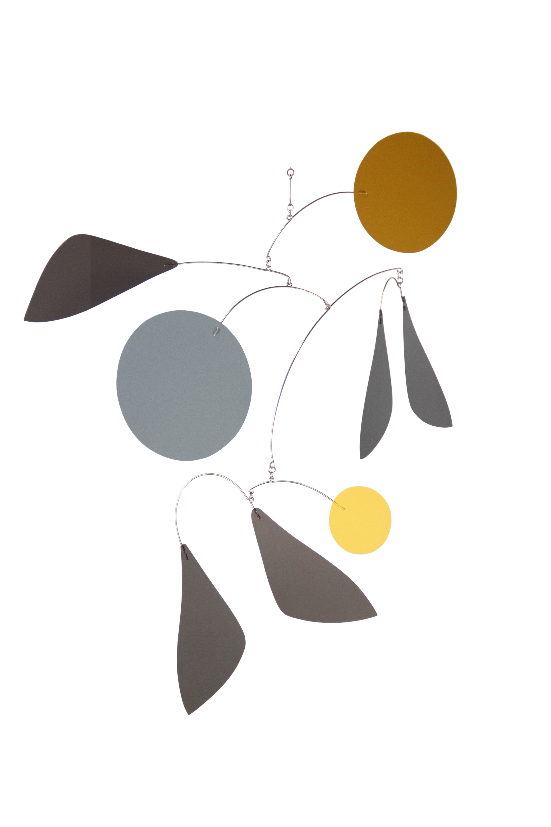Poplar