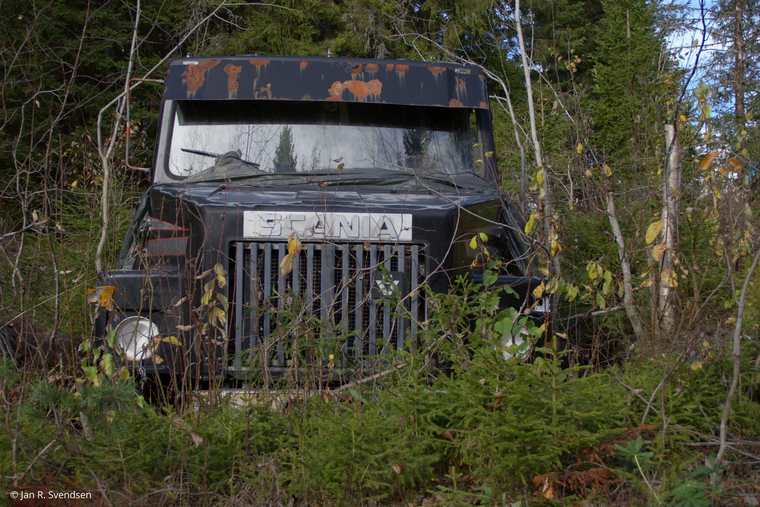 C7D_1214.jpg