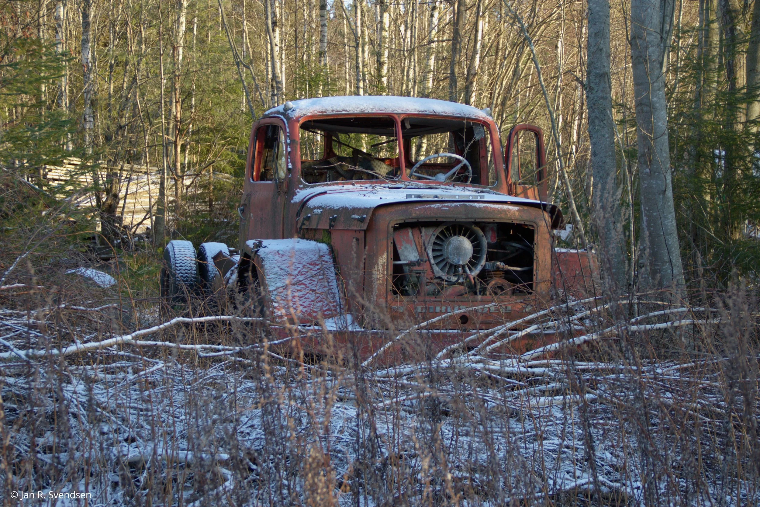 C7D_6719.jpg