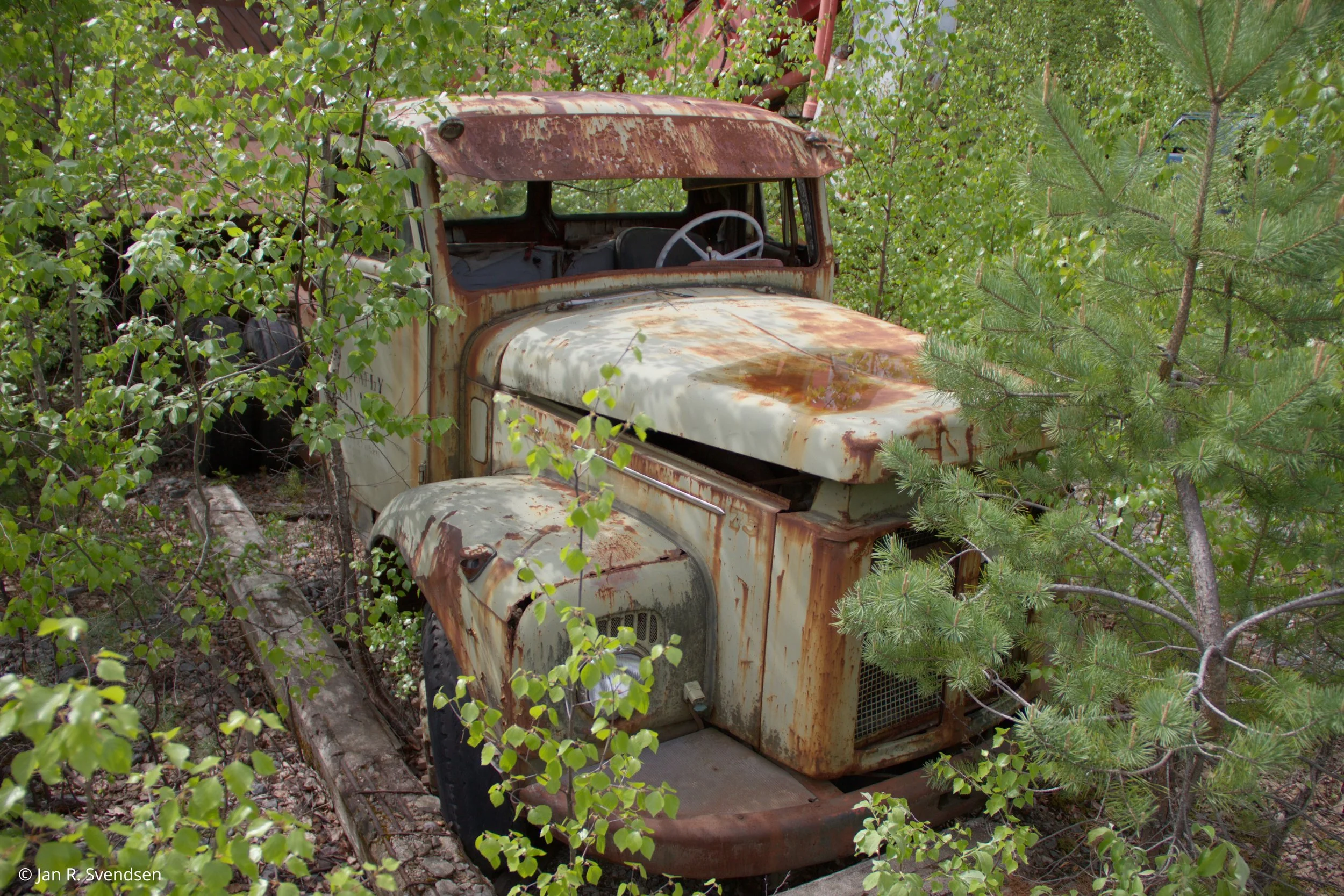 C7D_3844.jpg