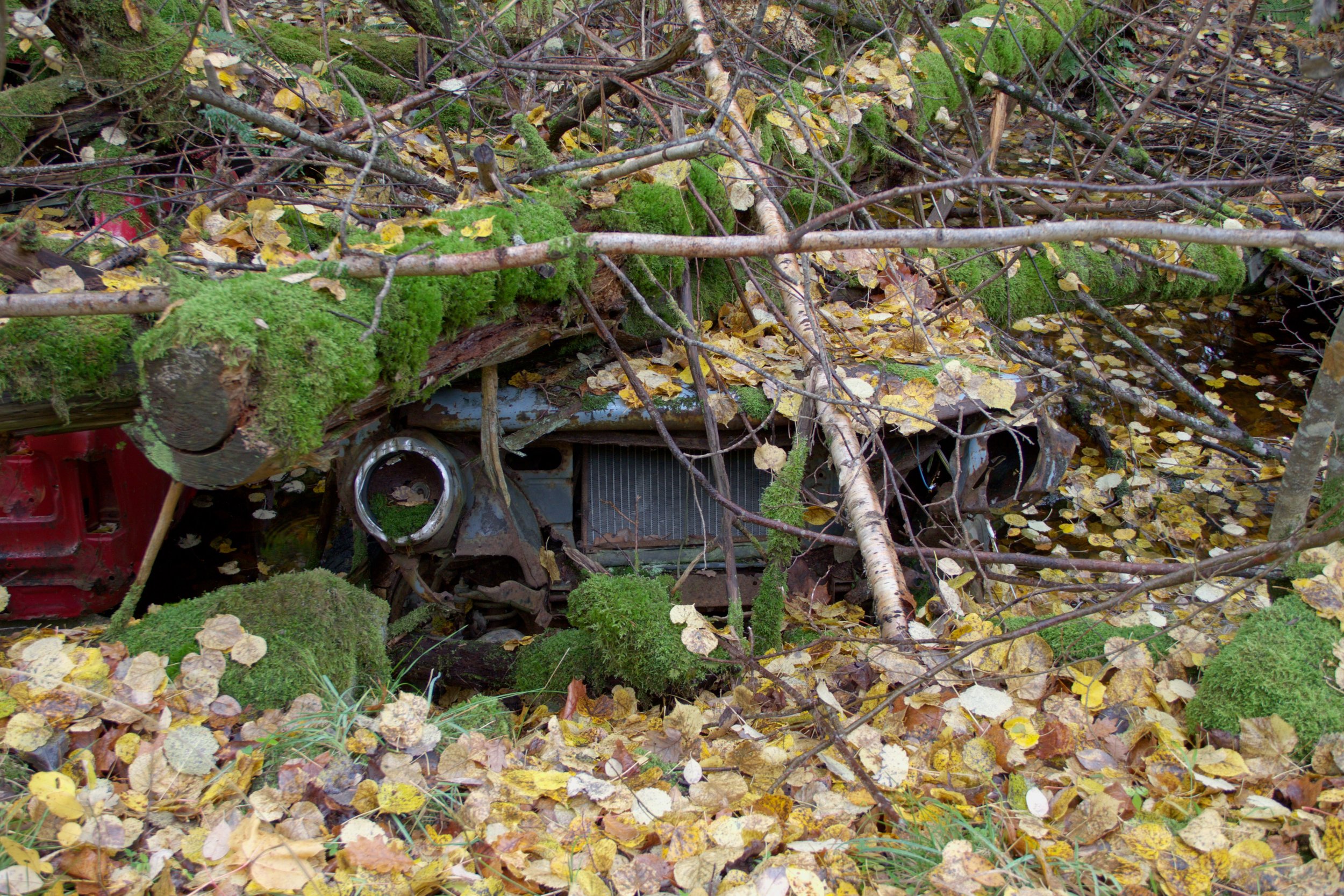 _7D_9590.jpg