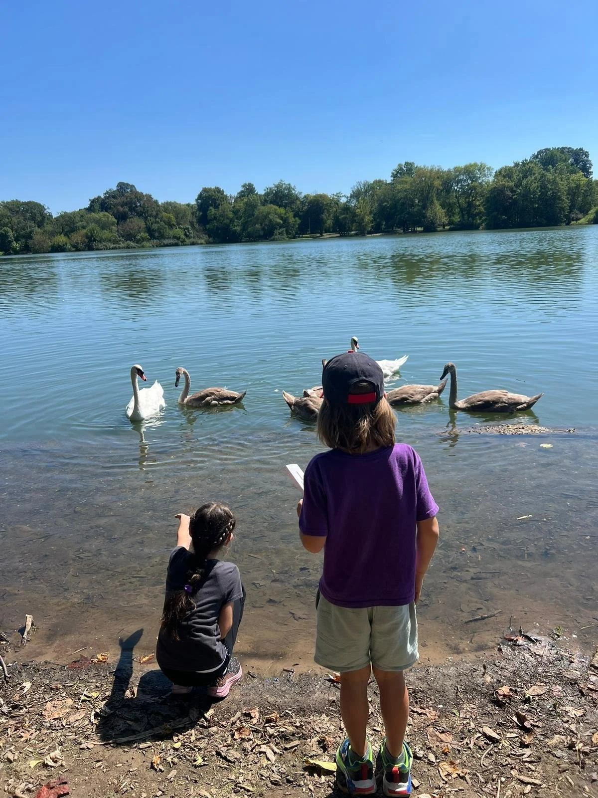 Our Classroom Has No Walls: How LGM Elementary Students Learn in Prospect Park