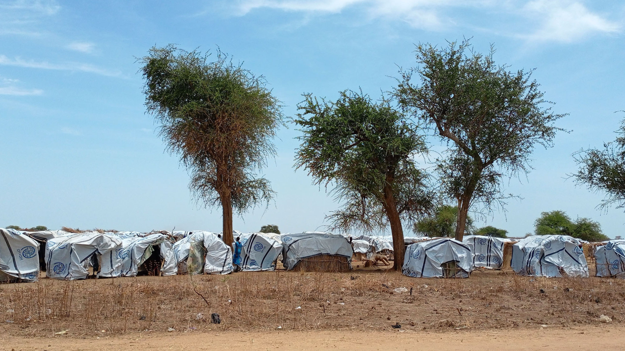The Crisis No One is Talking About … And What We’re Doing About It