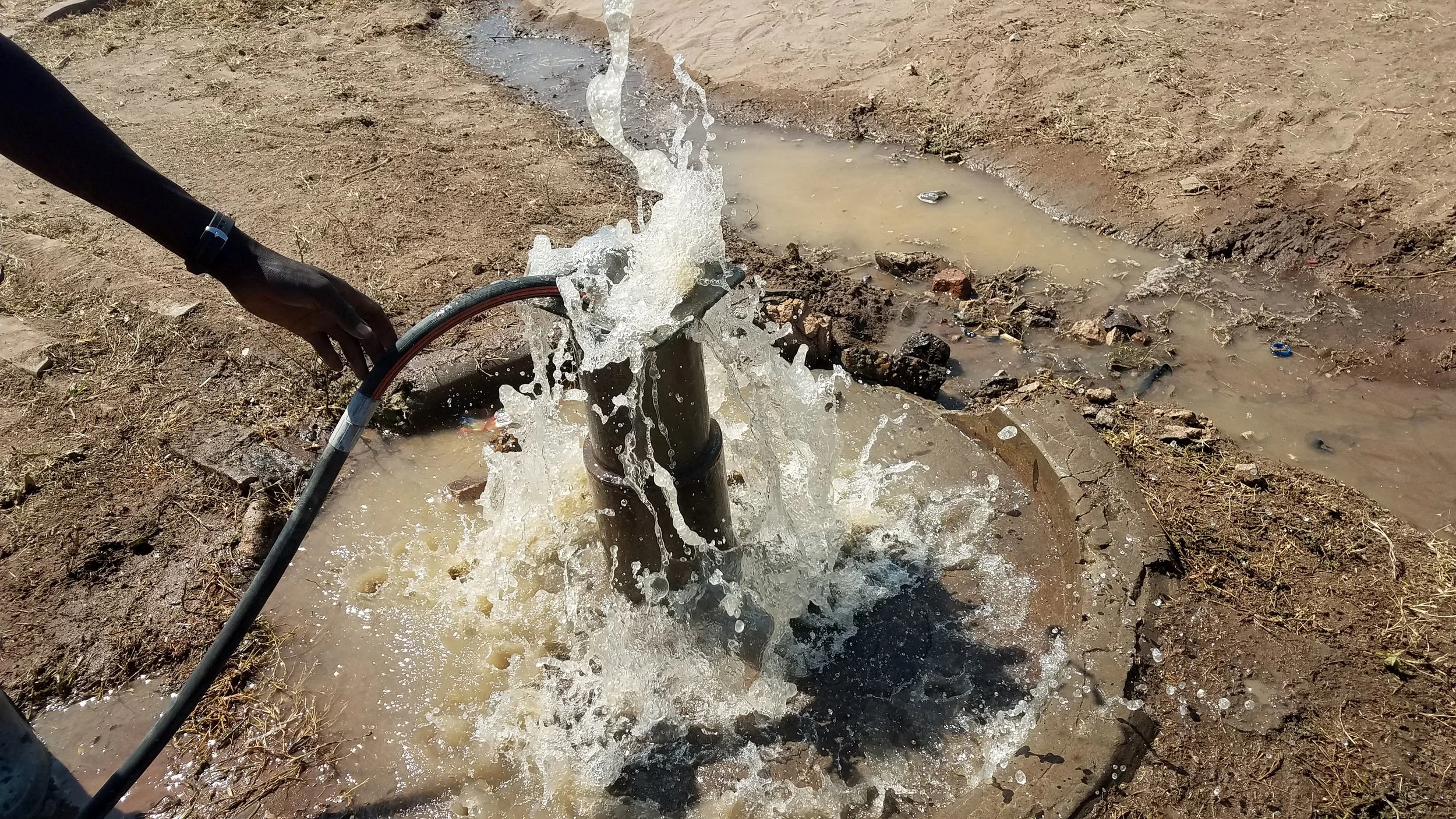 R E Thalberg Rehab.jpg