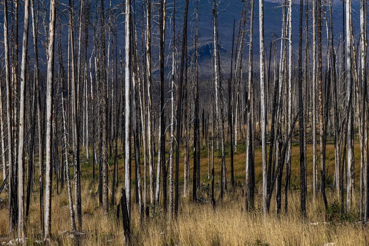 _Q6A5671.jpg