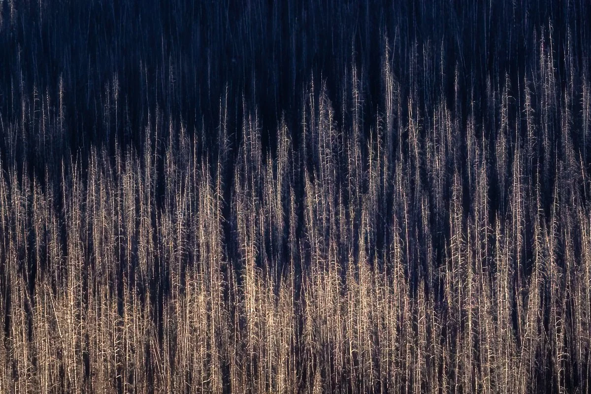 _Q6A4920-Edit-Edit.jpg