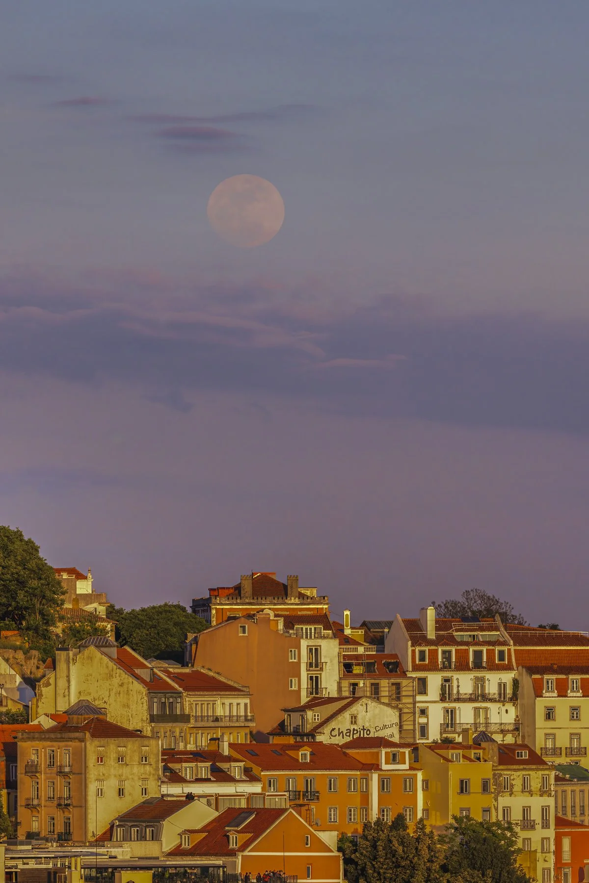 _X7A7939-Edit-Edit-2-Edit.jpg