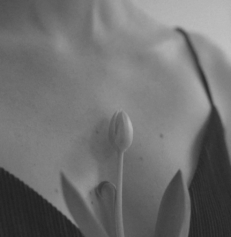 Gift Guide: The Best Anxiety Relief Products for Calm