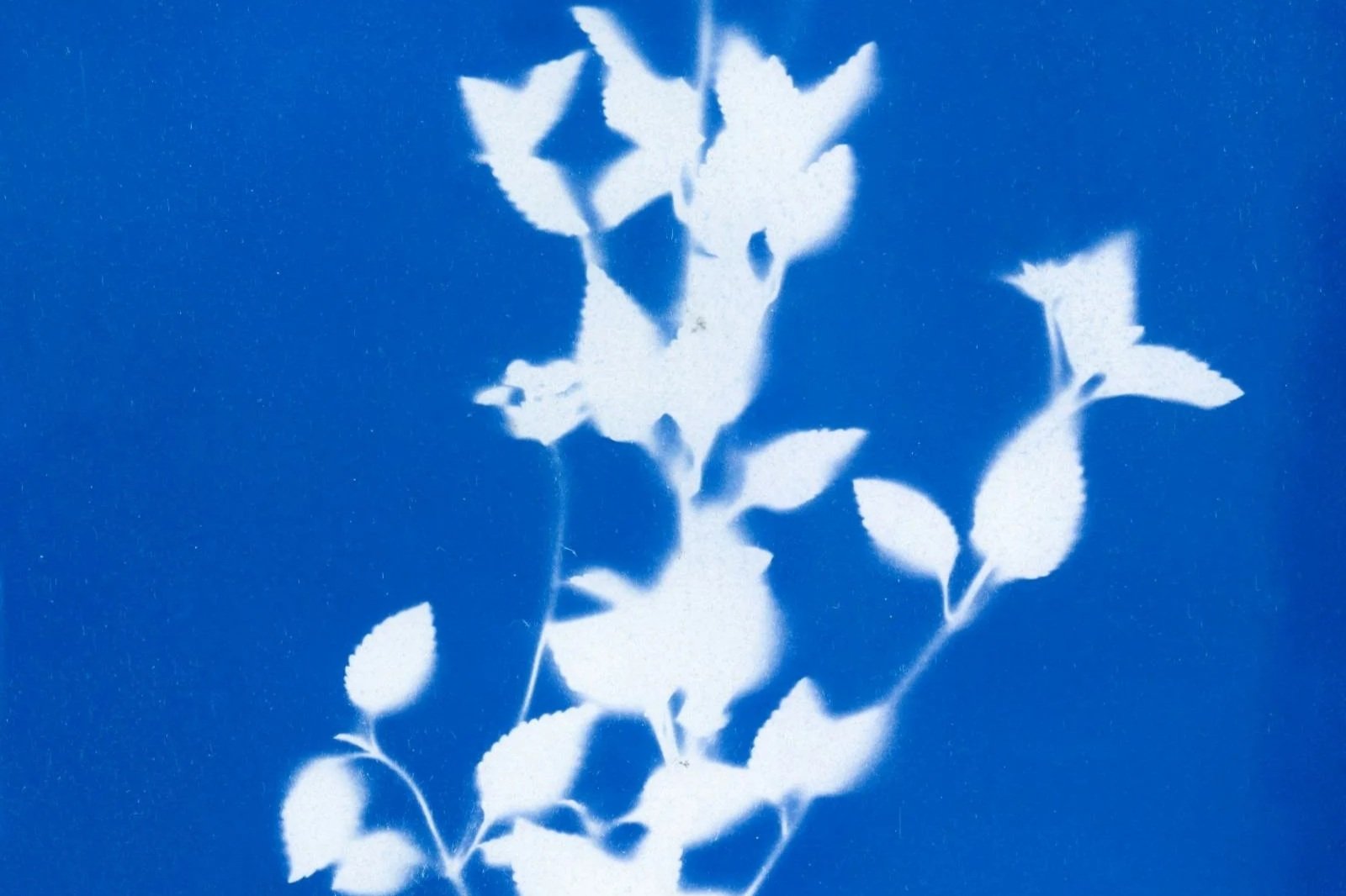 Side effects of spravato