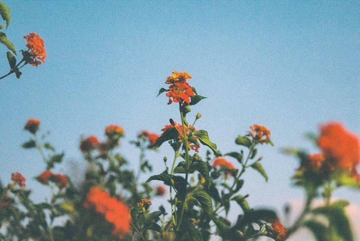 Ketamine Assisted EMDR Therapy in Brooklyn