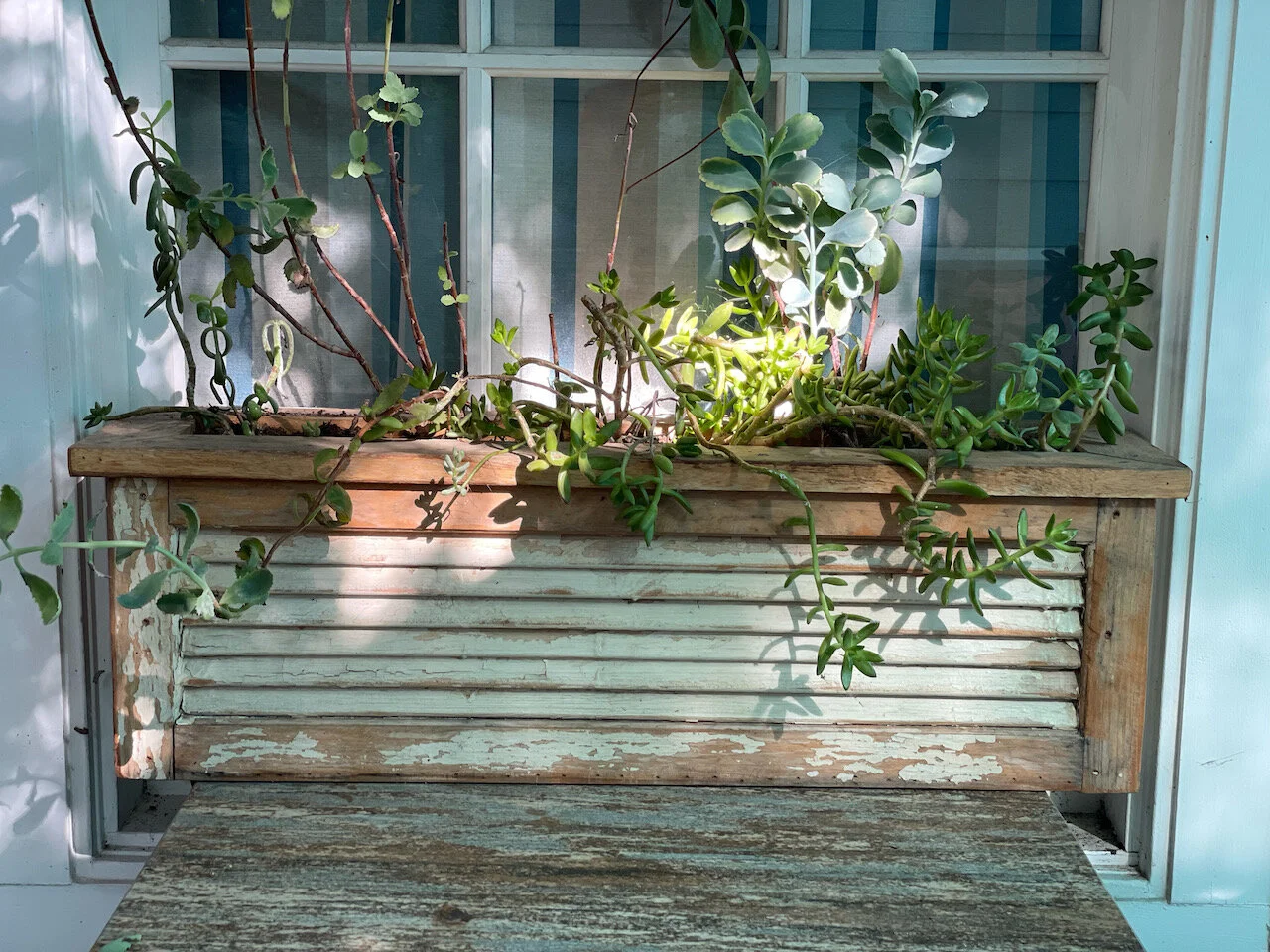 Short but Long Shuttered Planter