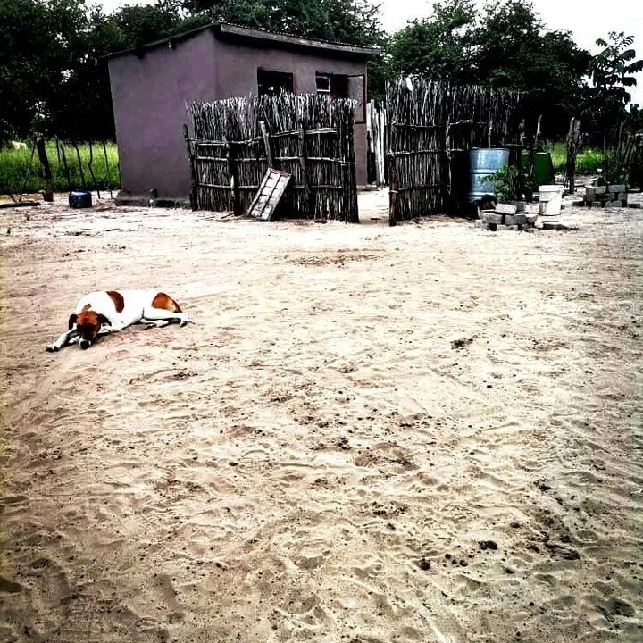 Culture is a way of life. We take you to the people of Maun, and allow you to experiance our way of life, authentically.