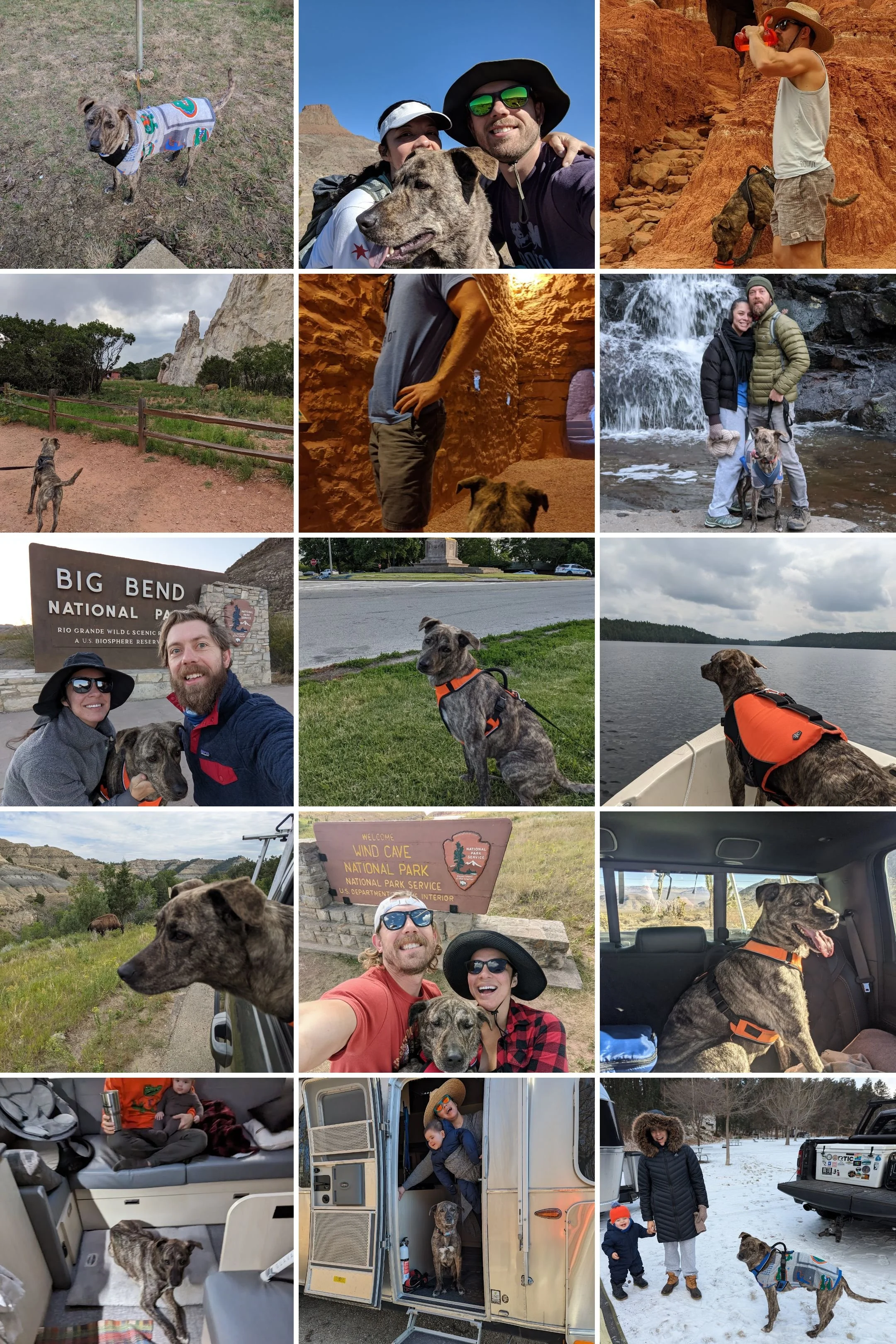 IMG_20161227_085746-COLLAGE.jpg