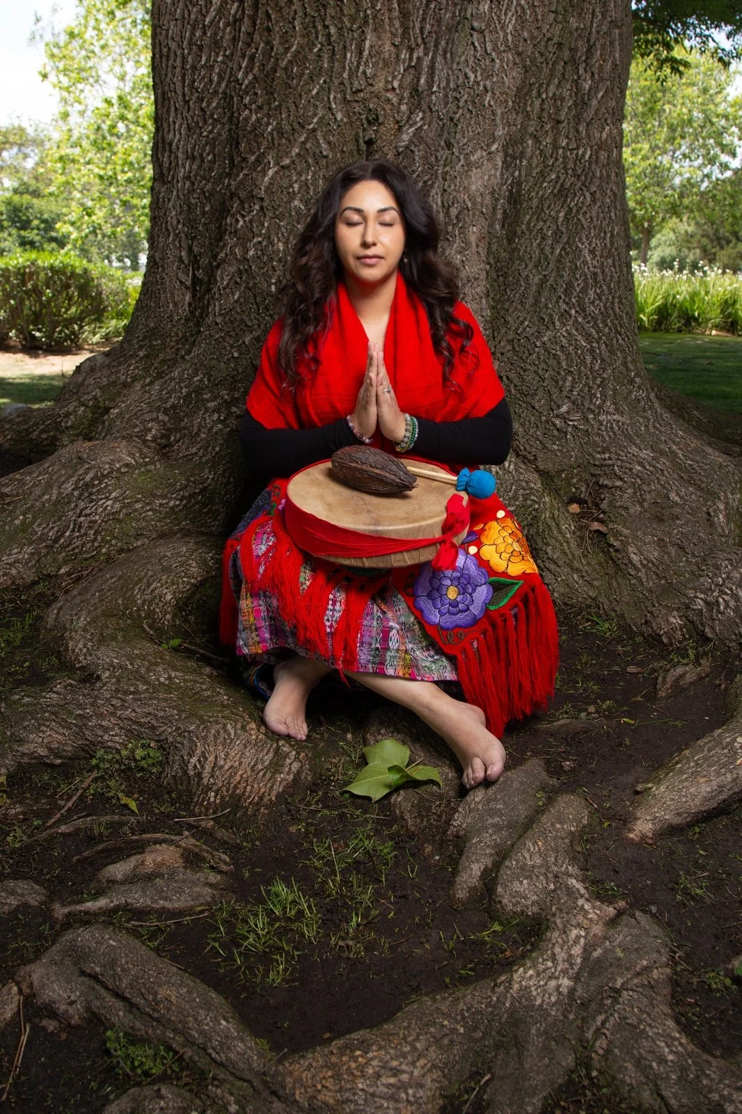 Sacred Heart Cacao & Reiki Ceremony