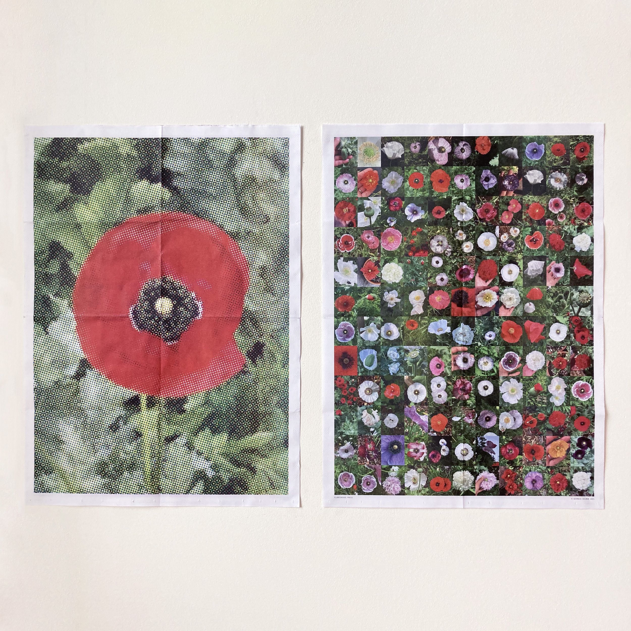 PoppyPosterDouble.jpg
