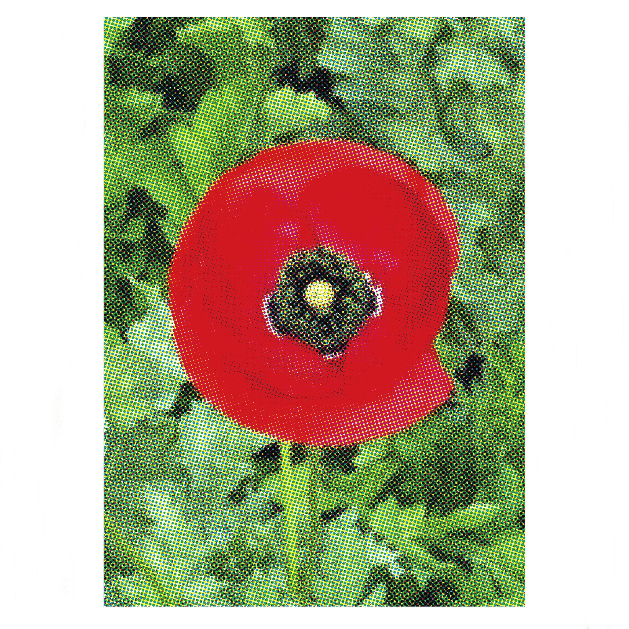 PoppyPoster1.jpg