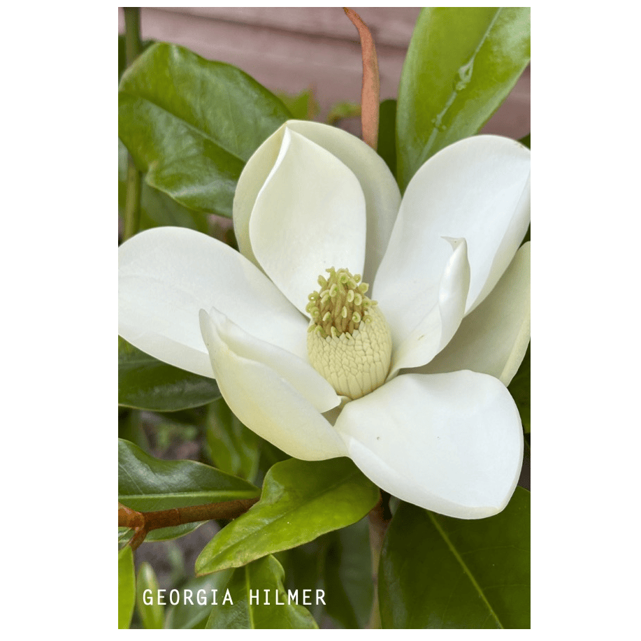 ezgif.com-crop (1).gif