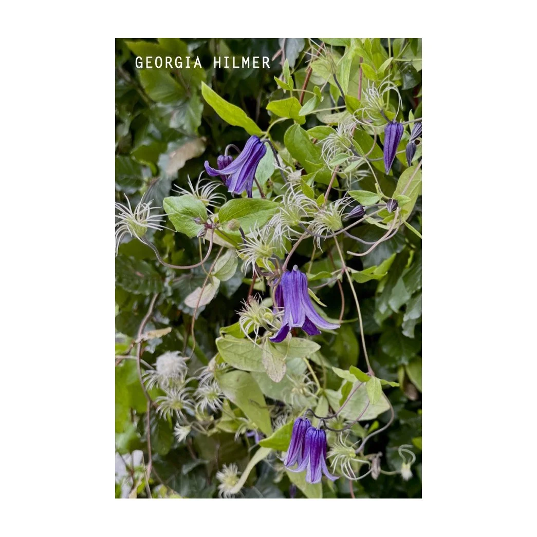 FT01_sticker_181125_GH2-2 copy.jpg