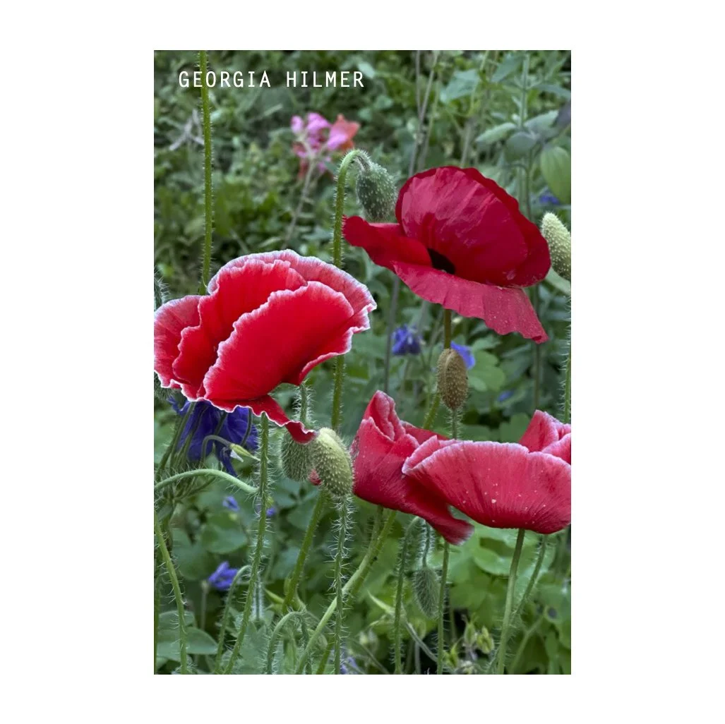 FT01_sticker_181125_GH2-3 copy.jpg