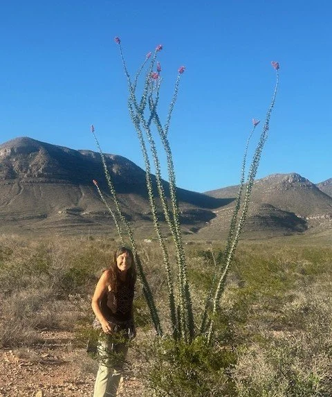 What Did We Just Do?