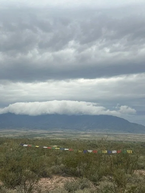 Where our Story Meets the Land